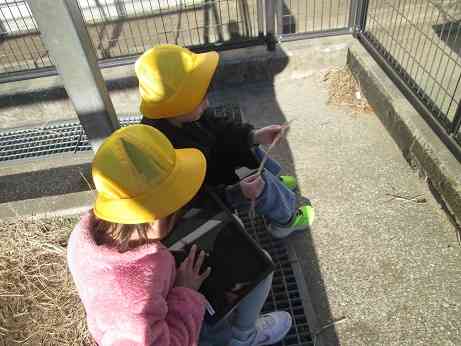 さわりごごちはっけん１