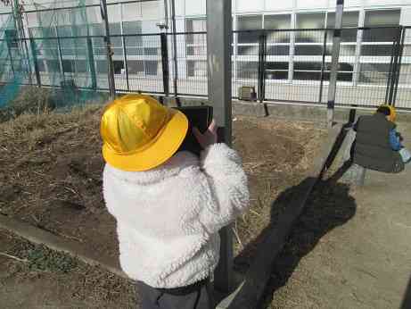 さわりごごちはっけん２